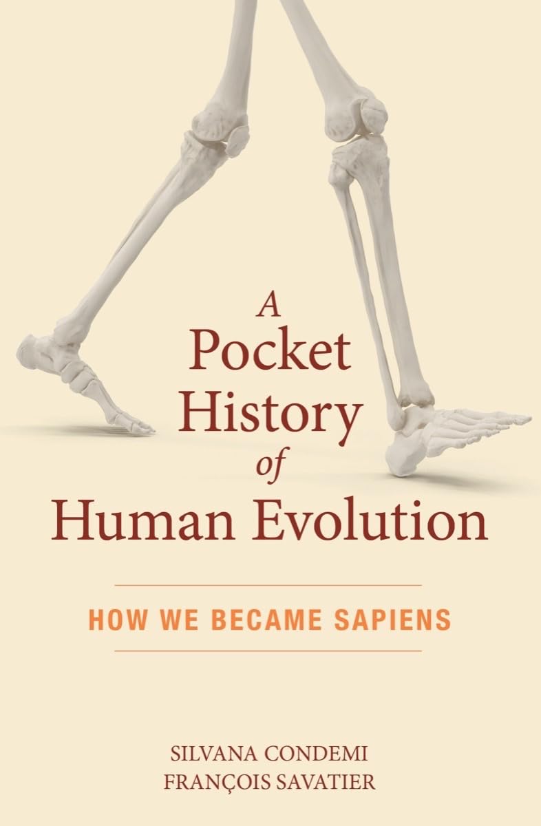 Pocket History of Human Evolution: How We Became Sapiens book cover