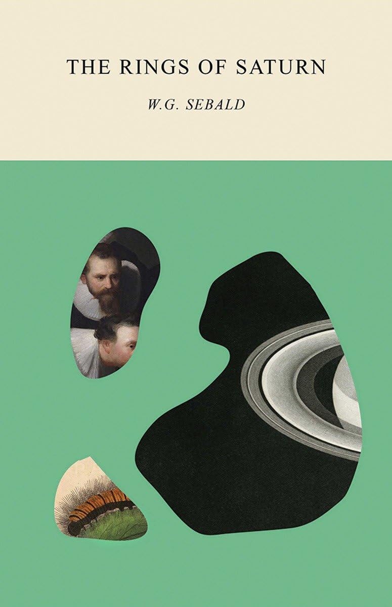 The Rings of Saturn book cover