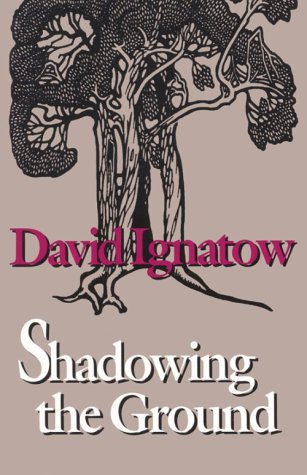 Shadowing the Ground book cover