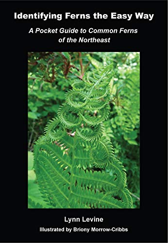 Identifying Ferns the Easy Way: A Pocket Guide to Common Ferns of the Northeast