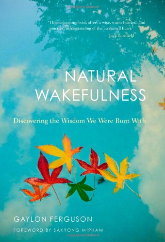 Natural Wakefulness: Discovering the Wisdom We Were Born with book cover
