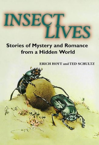 Insect Lives: Stories of Mystery and Romance from a Hidden World
