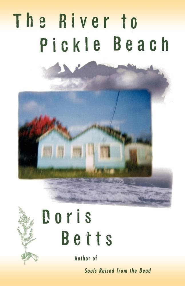 River to Pickle Beach book cover
