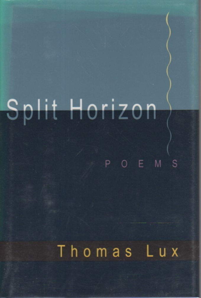 Split Horizon book cover