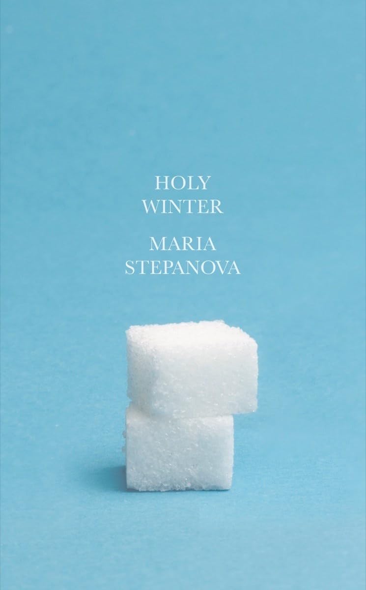 Holy Winter book cover