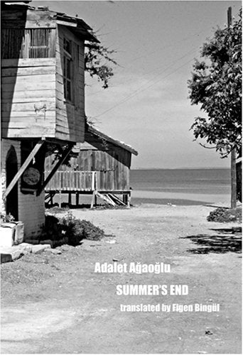 Summer's End book cover