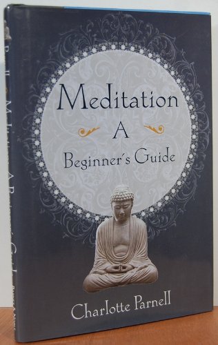 Meditation: A Beginner's Guide ( Original Title: Seeing The Wider Picture) book cover