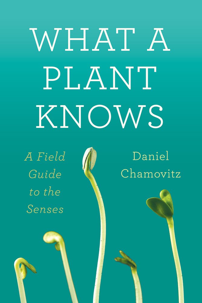 What a Plant Knows: A Field Guide to the Senses book cover