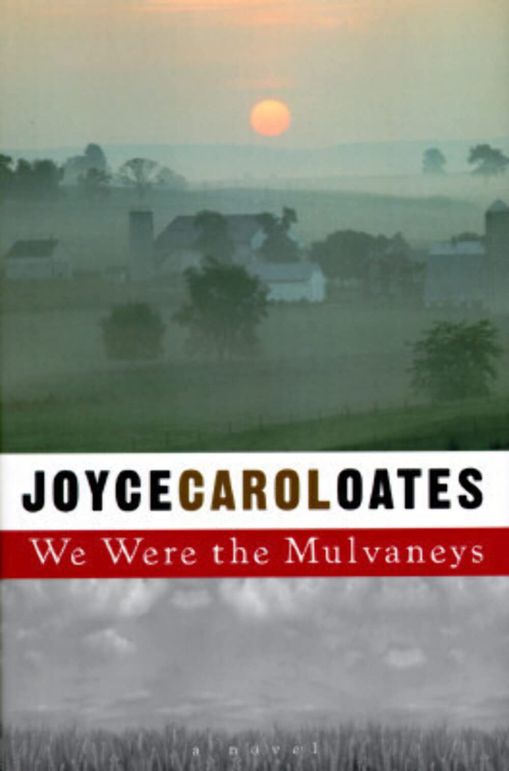 We Were the Mulvaneys book cover