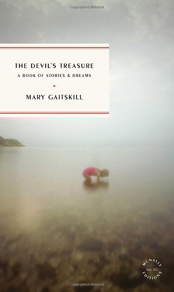 Devil's Treasure book cover