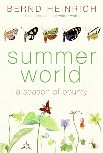 Summer World: A Season of Bounty book cover