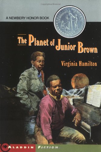 The Planet of Junior Brown book cover