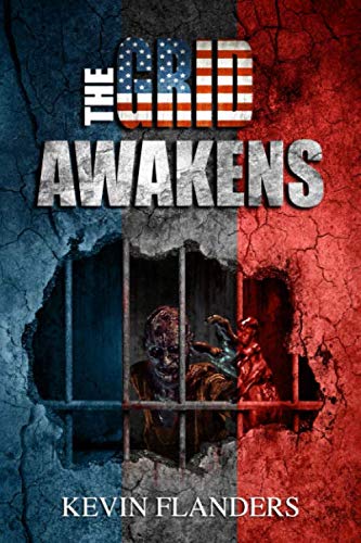 The Grid Awakens book cover