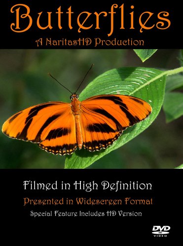Butterflies