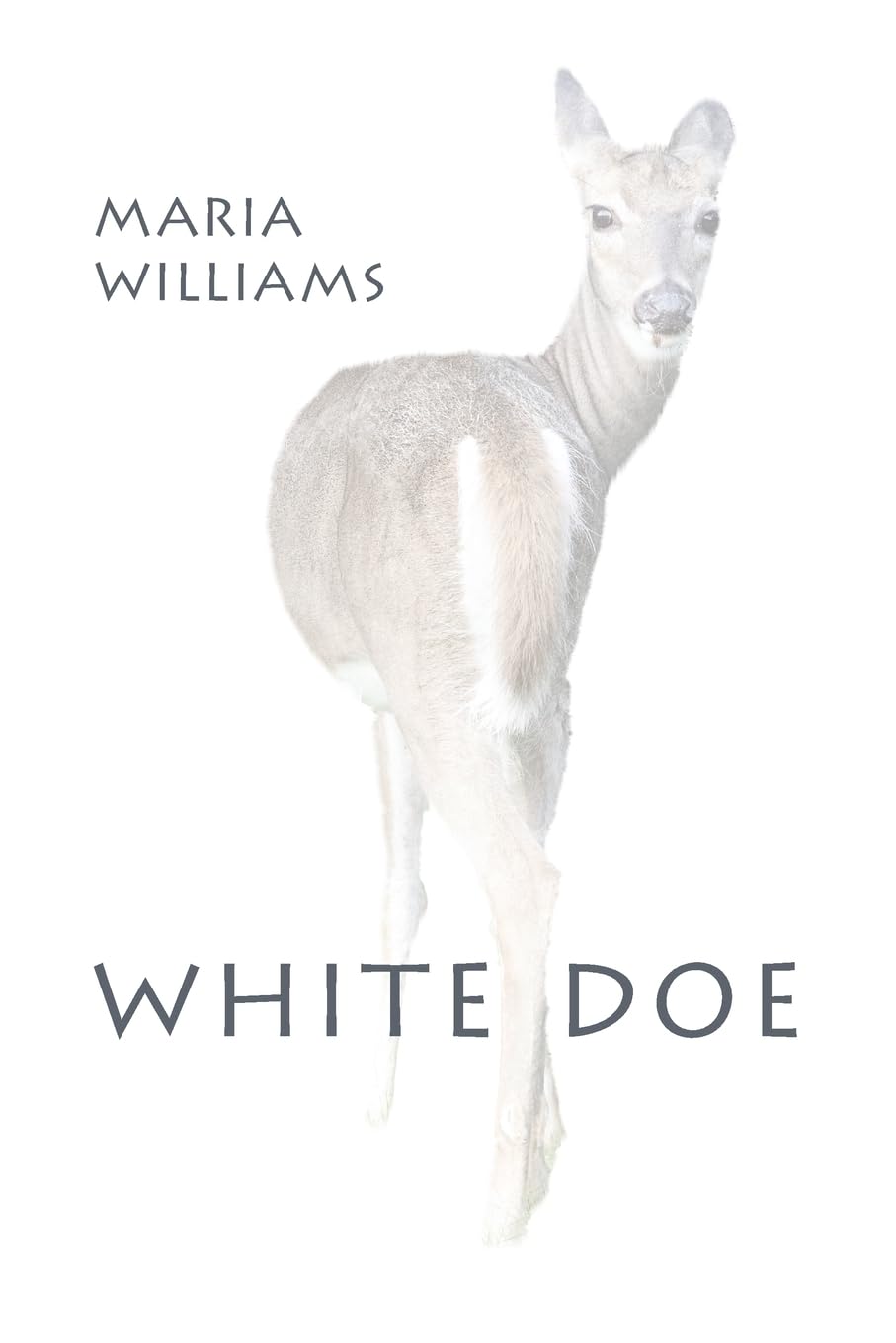 White Doe book cover