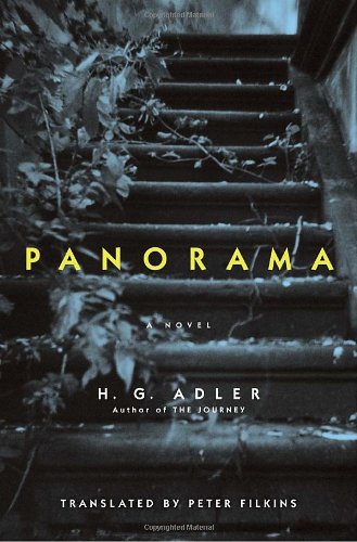 Panorama book cover
