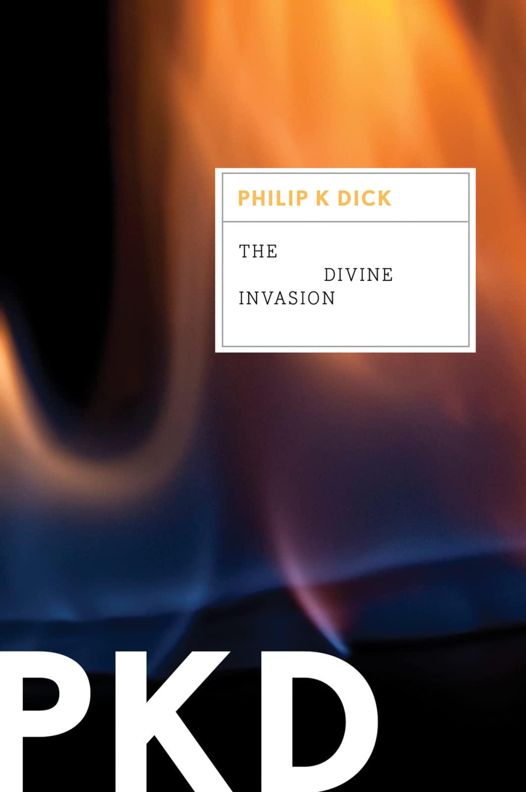 The Divine Invasion book cover