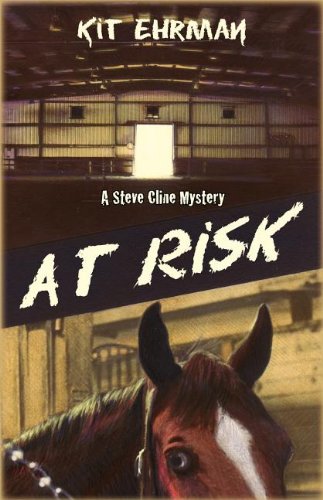 At Risk: A Steve Cline Mystery book cover