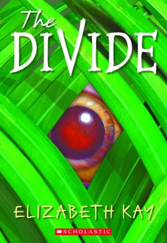 The Divide book cover
