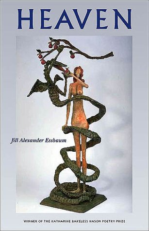 Heaven book cover