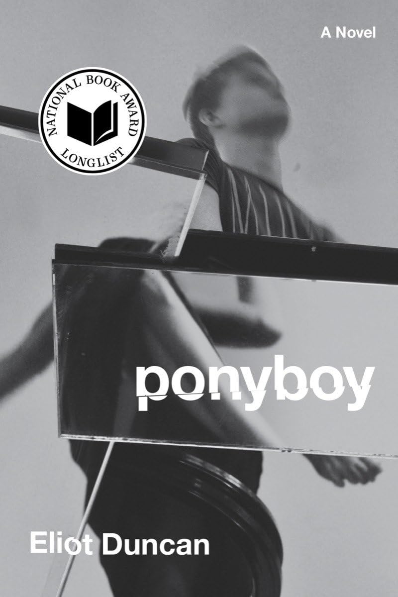 Ponyboy: A Novel book cover
