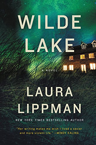 Wilde Lake book cover