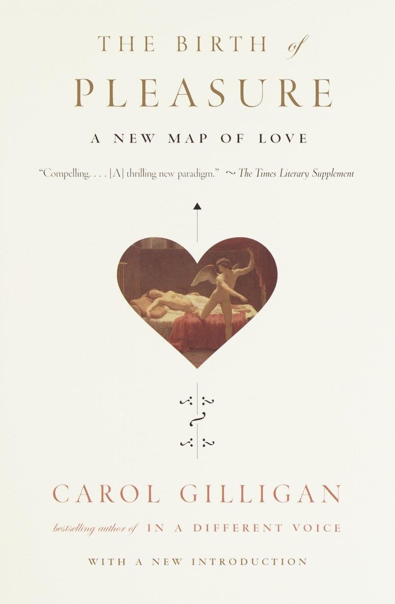 Birth of Pleasure: A New Map of Love book cover