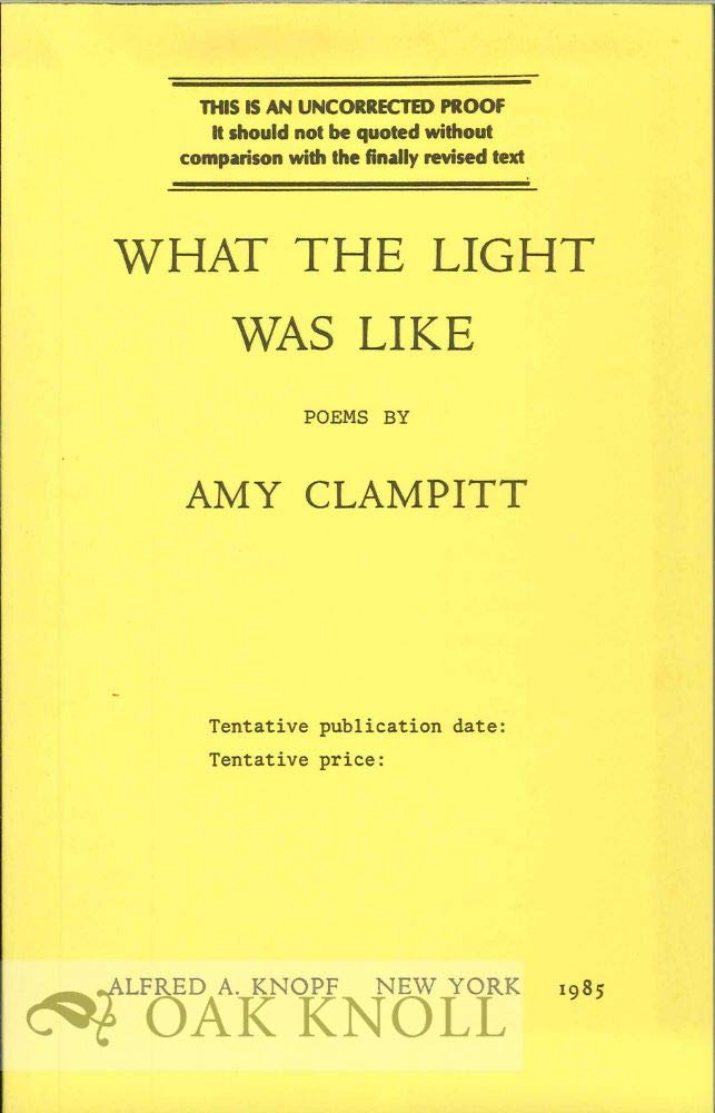 What the Light Was Like book cover
