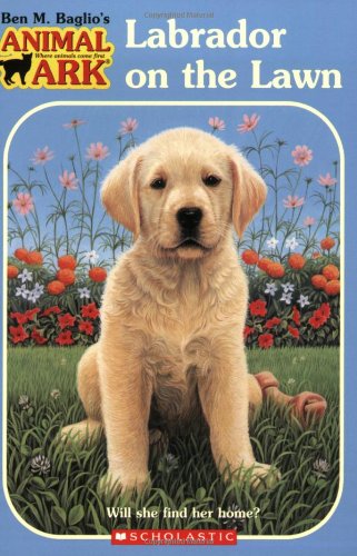 Labrador on the Lawn