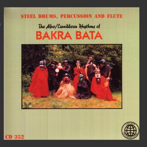Steel Drums Percussion & Flute book cover