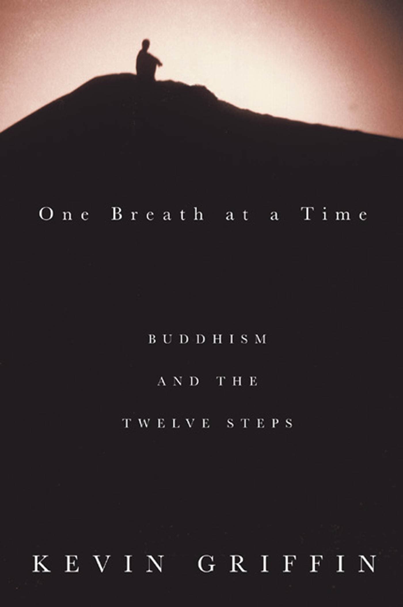One Breath at a Time: Buddhism and the Twelve Steps book cover