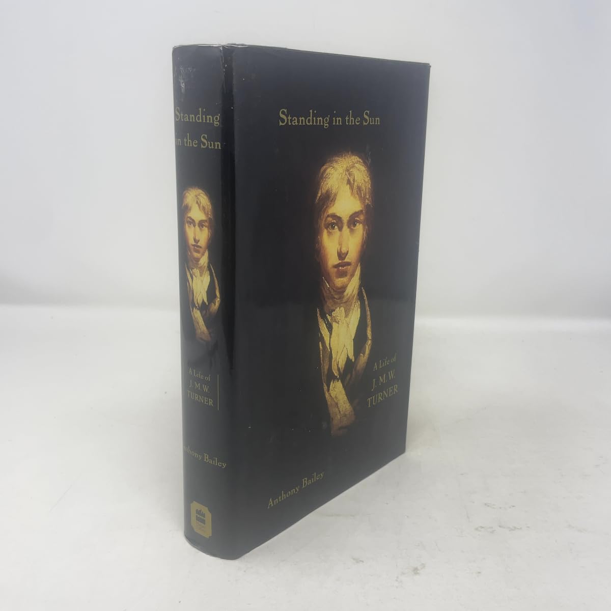 Standing in the Sun book cover