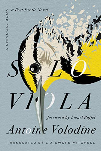 Solo Viola: A Post-Exotic Novel book cover