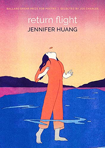 Return Flight book cover