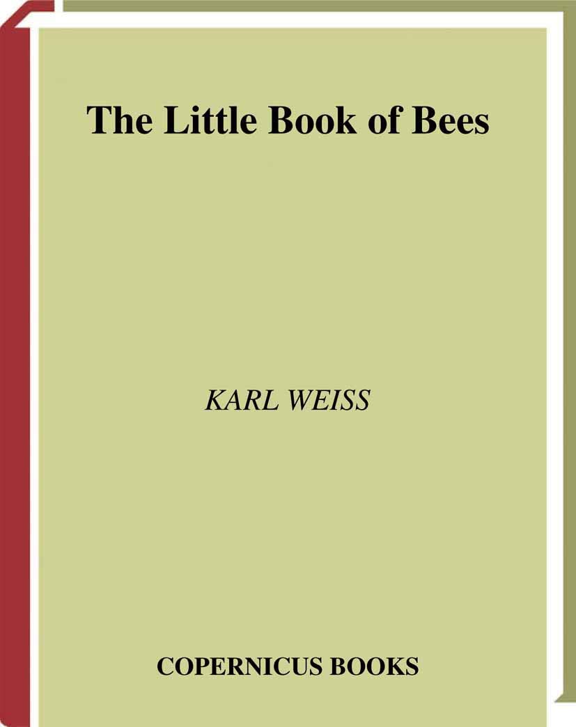 Little Book of Bees (2002) book cover