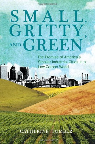 Small, Gritty, and Green: The Promise of America's Smaller Industrial Cities in a Low-Carbon World book cover