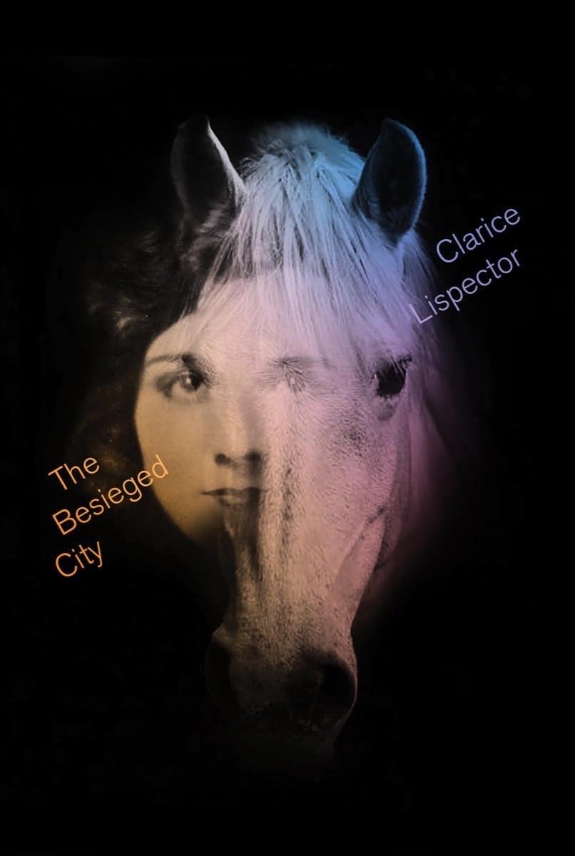 The Besieged City book cover