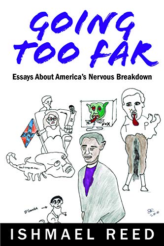 Going Too Far: Essays about America's Nervous Breakdown book cover