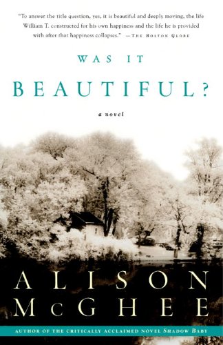 Was It Beautiful? book cover