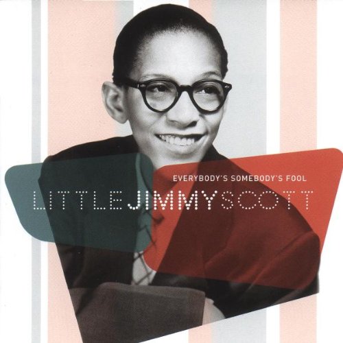 Everybody's Somebody's Fool book cover