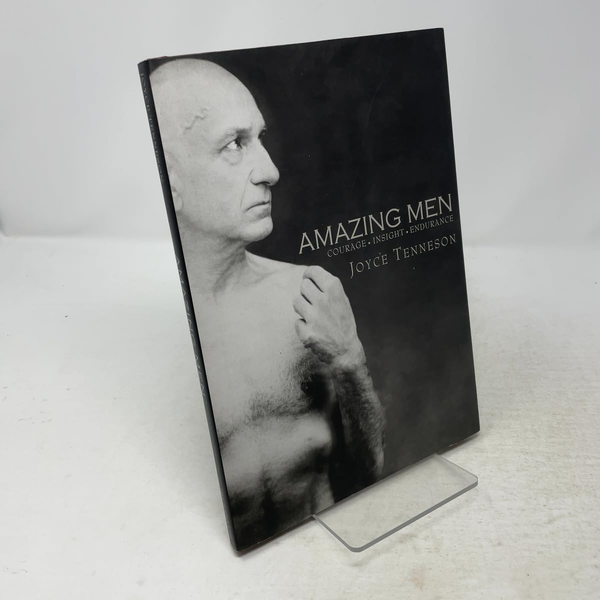 Amazing Men: Courage, Insight, Endurance book cover