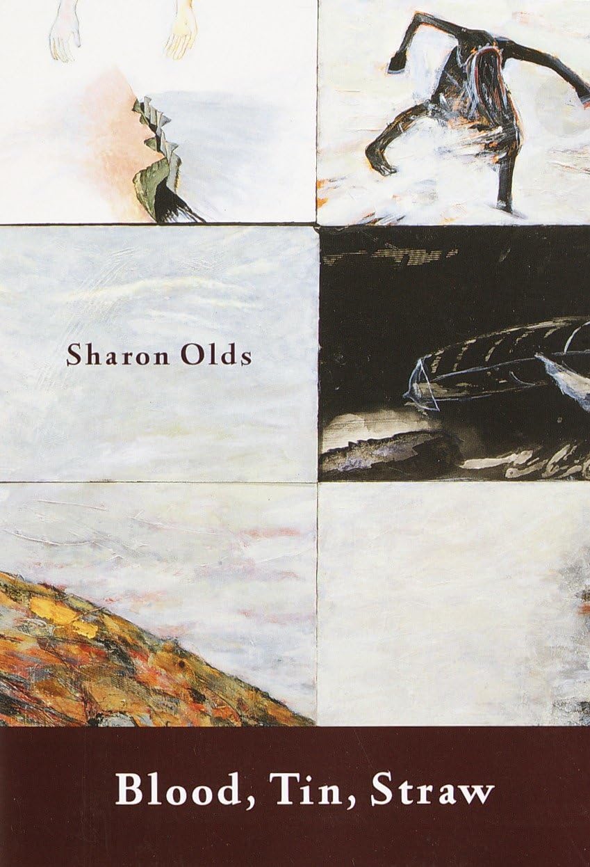 Blood, Tin, Straw: Blood, Tin, Straw: Poems book cover