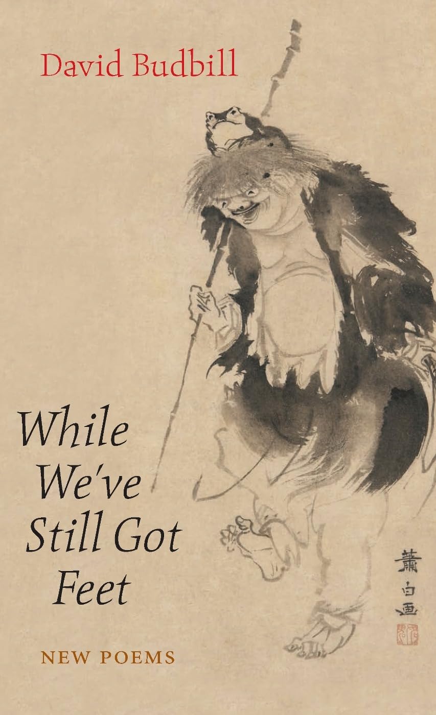 While We've Still Got Feet book cover