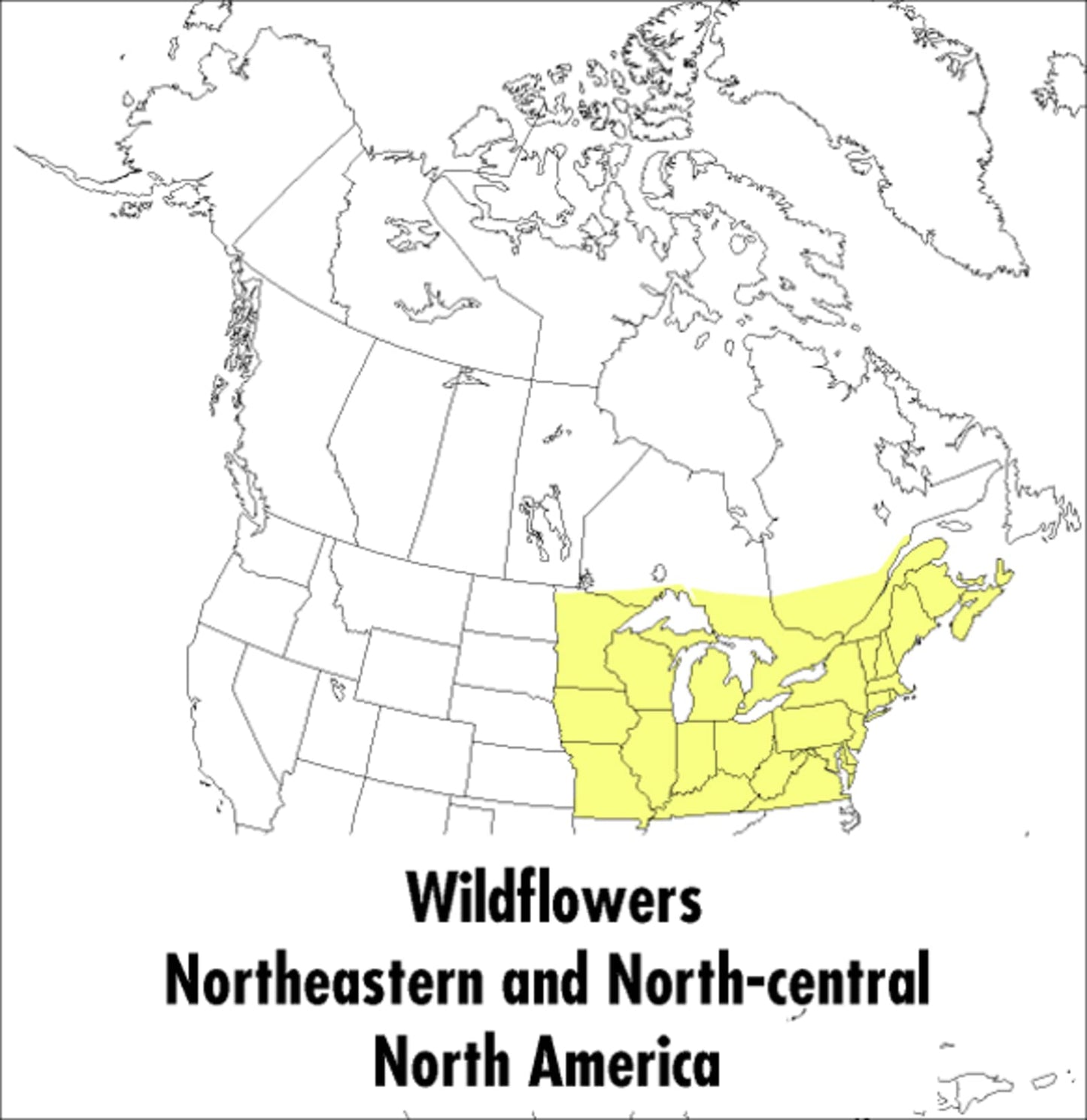 Peterson Field Guide to Wildflowers: Northeastern and North-Central North America book cover