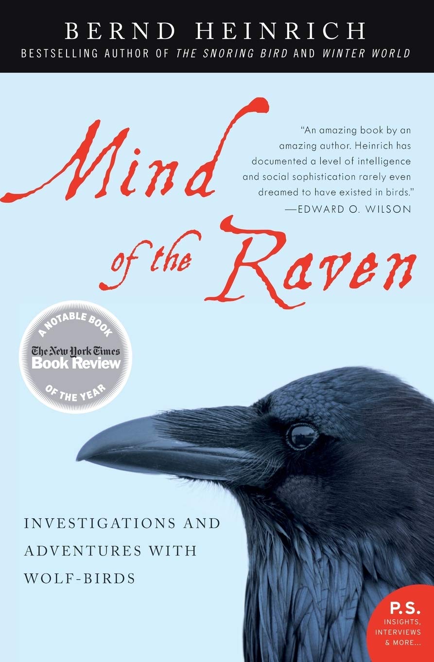 Mind of the Raven: Investigations and Adventures with Wolf-Birds book cover