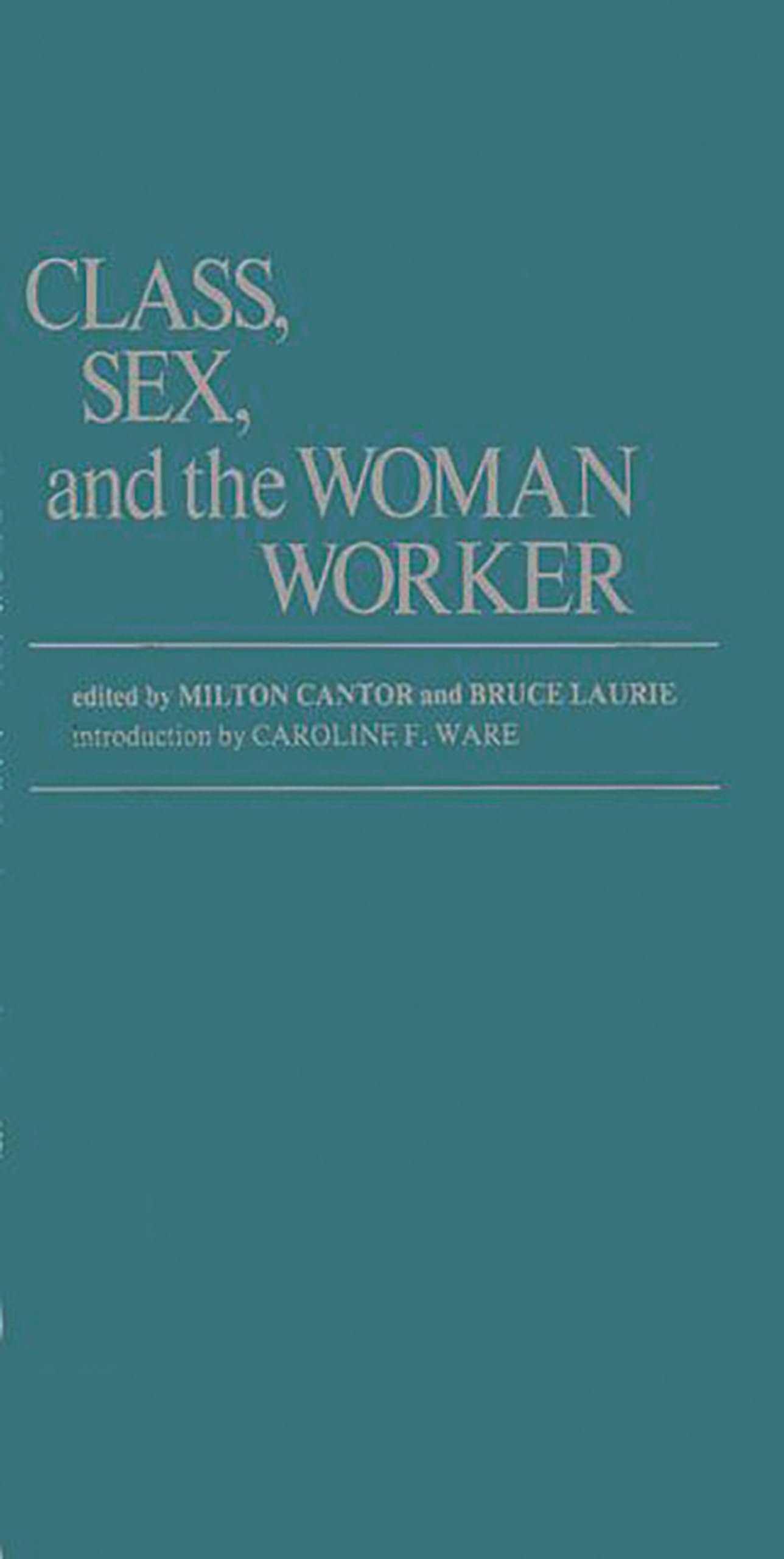 Class, Sex, and the Woman Worker book cover