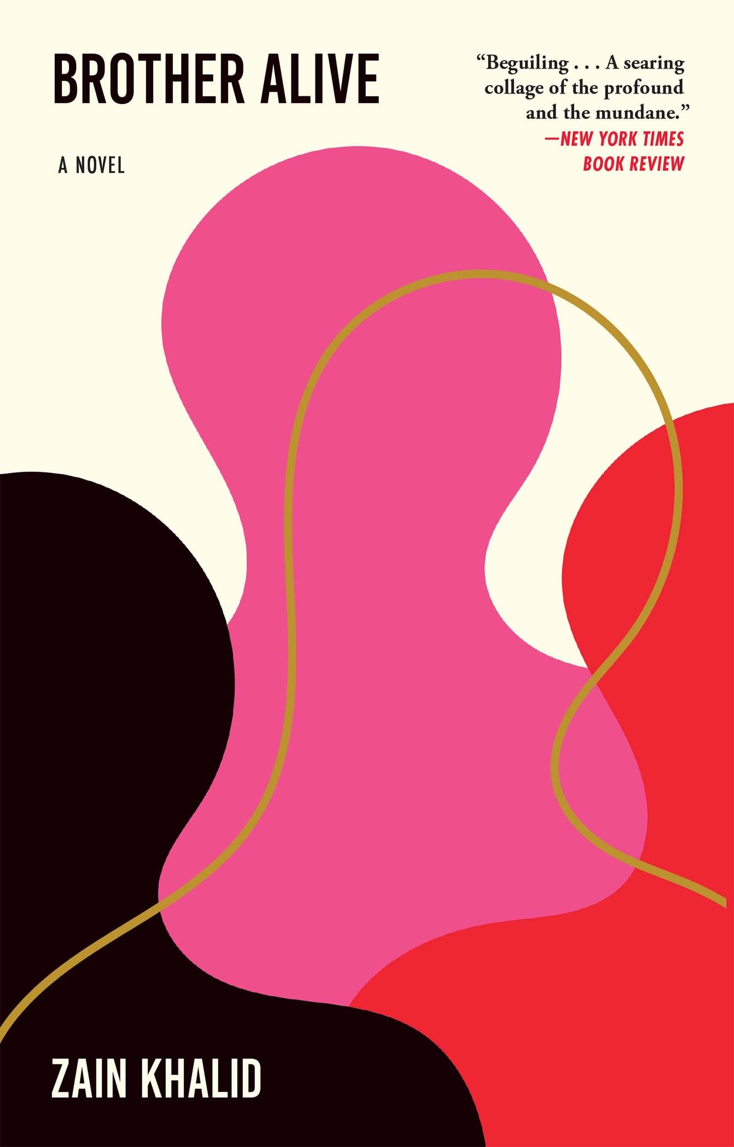 Brother Alive book cover