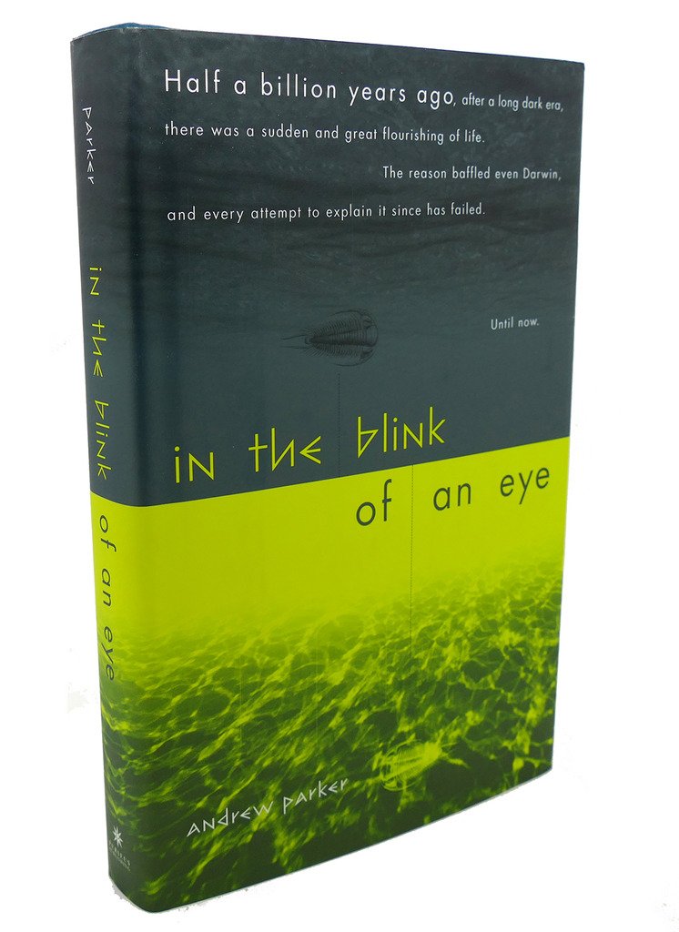 In the Blink of an Eye book cover