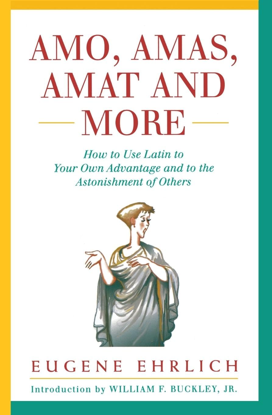 Amo, Amas, Amat and More (Hudson Group Books) book cover