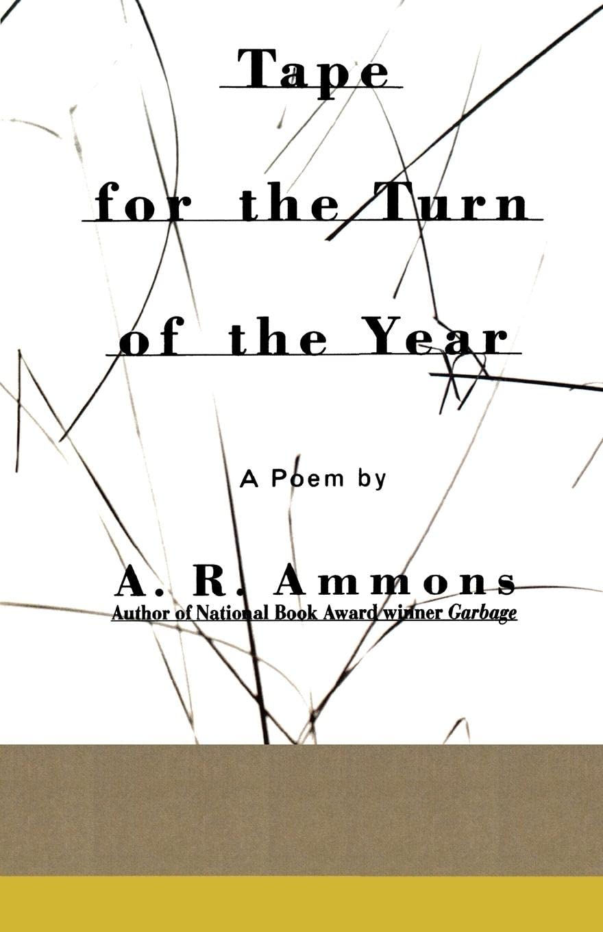 Tape for the Turn of the Year (Revised) book cover